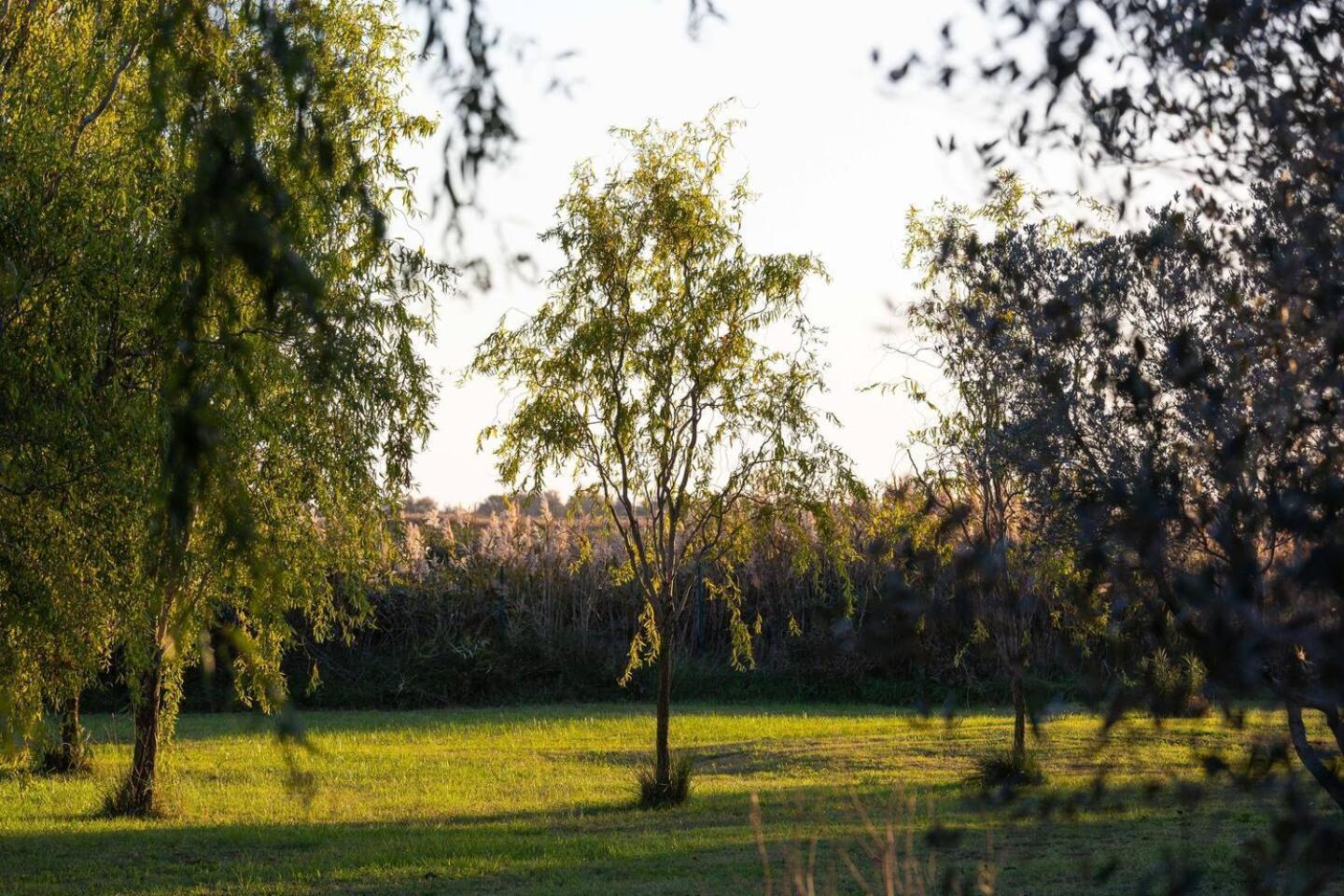 Mas Provencal De 120M2 En Camargue, Avec Piscine Et Parking Inclus, Ideal Pour Des Vacances Arles Exteriér fotografie
